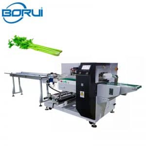 vegetables packing machine